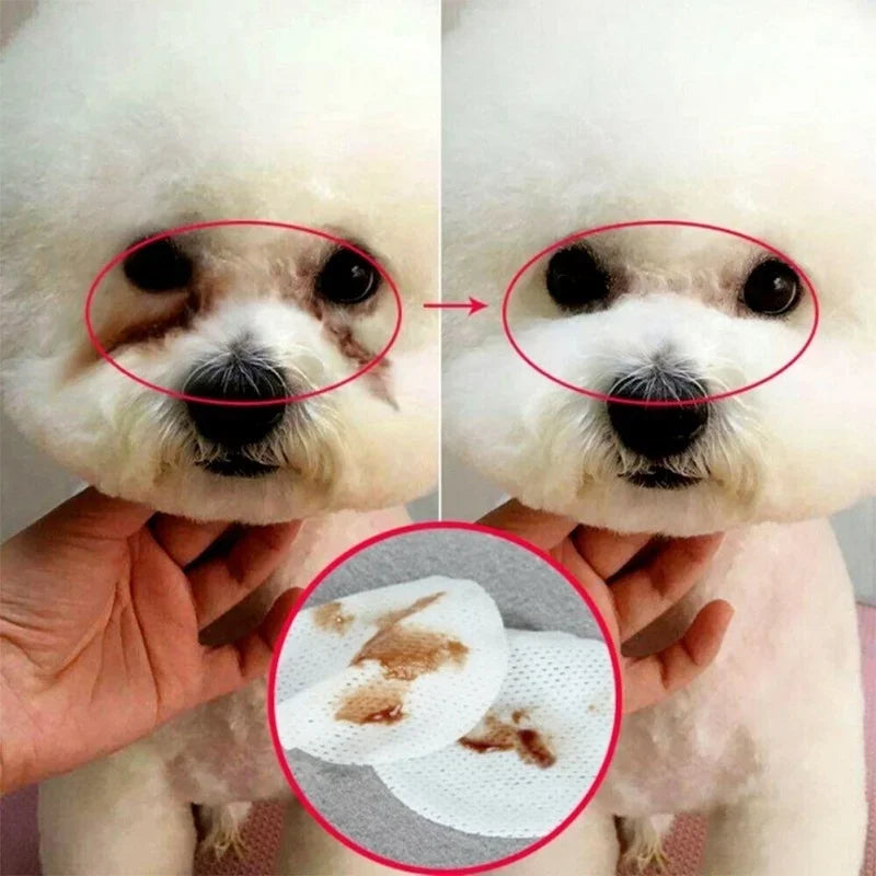 Pet Grooming Cleaning Wipes