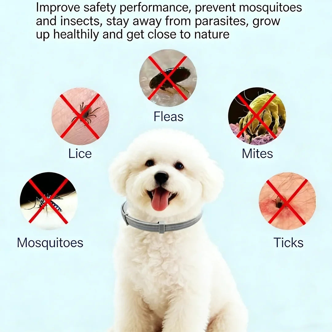 Anxiety Stress Relief  Pet Flea Collar