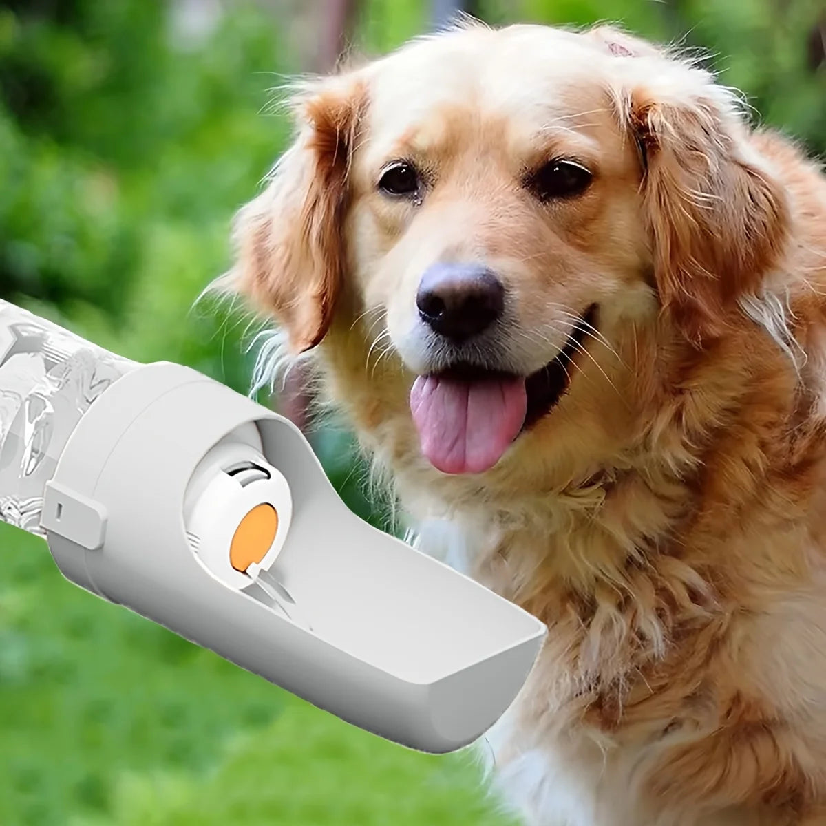 Portable Pet Water Bottle