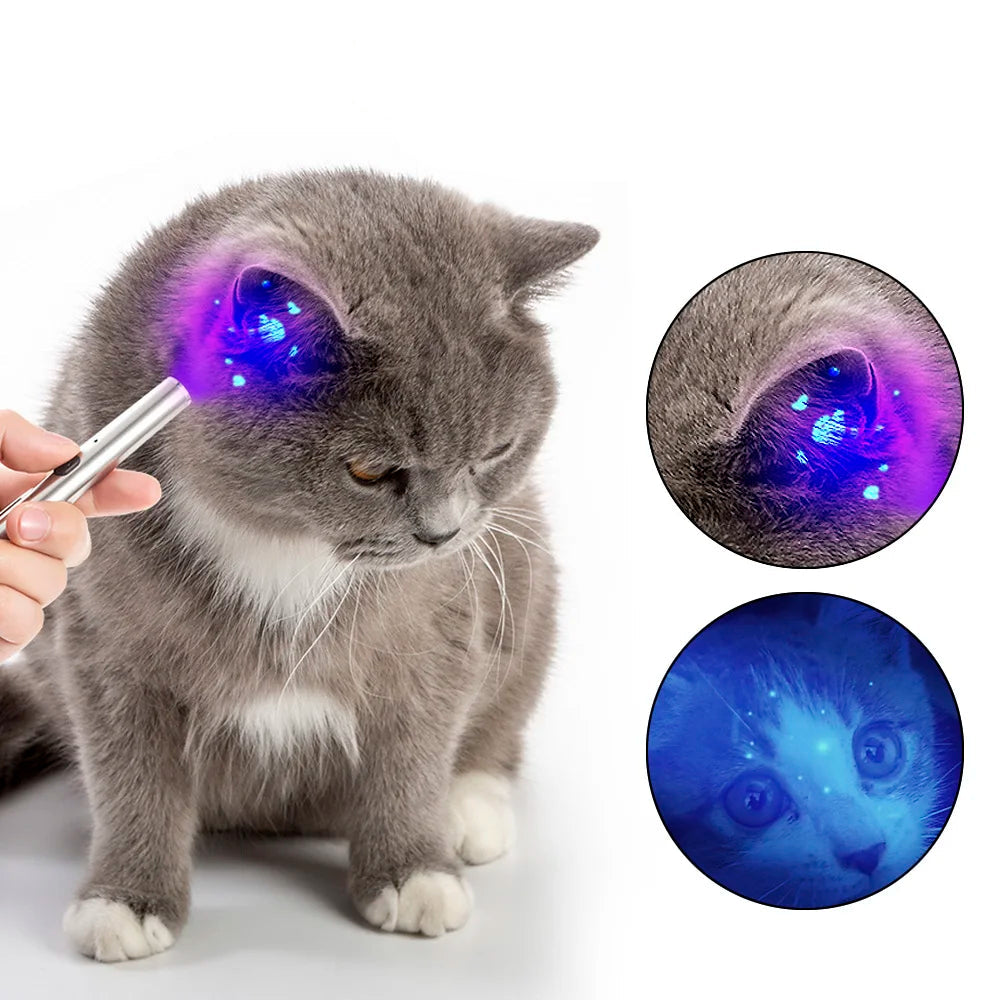 Pet Fungus Detection UV Ultraviolet Light