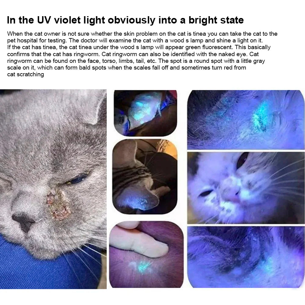 Pet Fungus Detection UV Ultraviolet Light