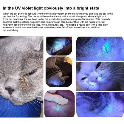 Pet Fungus Detection UV Ultraviolet Light